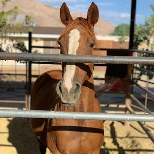 Meet your Posher, Natalie